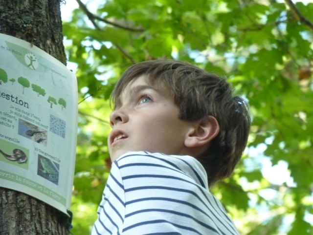 Orientación y conocimiento de la naturaleza 